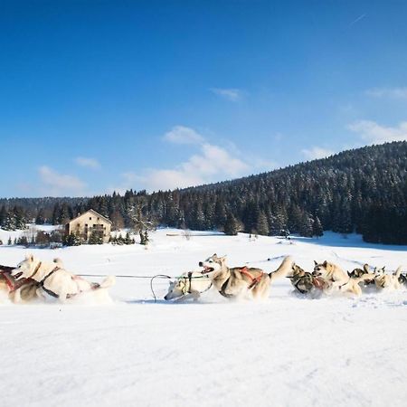 Babaute 7, Studio Typique Au Pied Des Pistes Prémanon Buitenkant foto