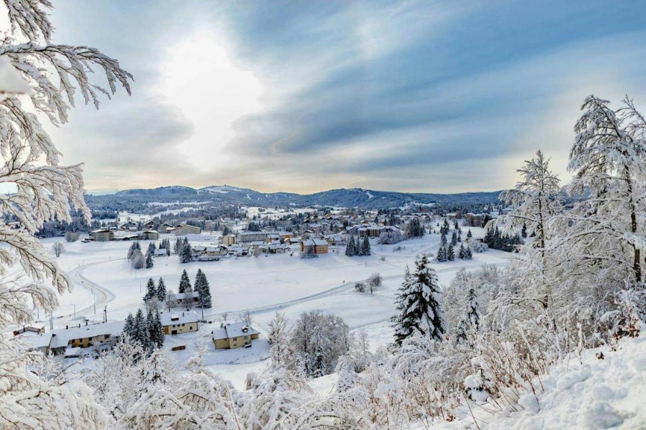 Babaute 7, Studio Typique Au Pied Des Pistes Prémanon Buitenkant foto