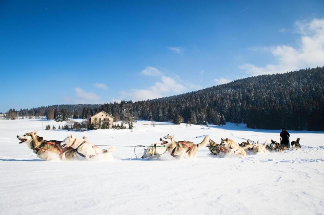 Babaute 7, Studio Typique Au Pied Des Pistes Prémanon Buitenkant foto